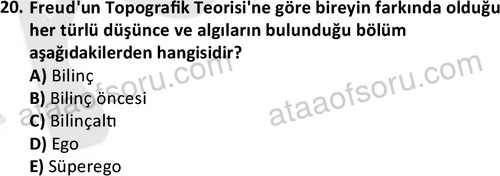 ata sosyalhizmlisans 2359 20