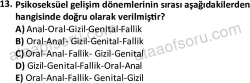 ata sosyalhizmlisans 2361 13