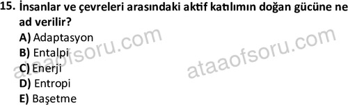 ata sosyalhizmlisans 2361 15