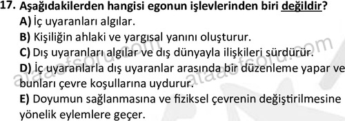 ata sosyalhizmlisans 2361 17