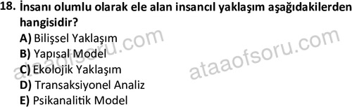ata sosyalhizmlisans 2361 18