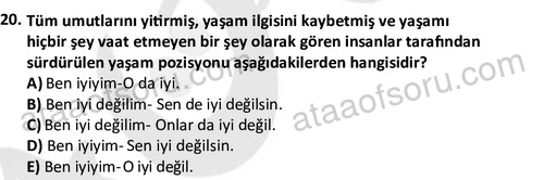 ata sosyalhizmlisans 2361 20