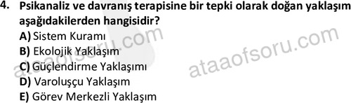 ata sosyalhizmlisans 2361 4