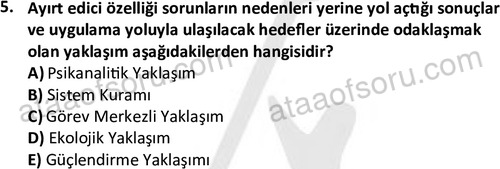 ata sosyalhizmlisans 2361 5