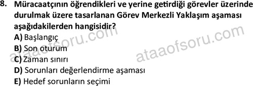 ata sosyalhizmlisans 2361 8