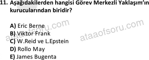 ata sosyalhizmlisans 2361 11