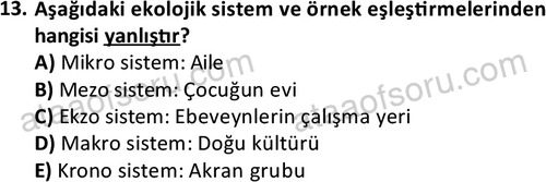 ata sosyalhizmlisans 2361 13