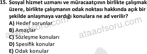 ata sosyalhizmlisans 2361 15