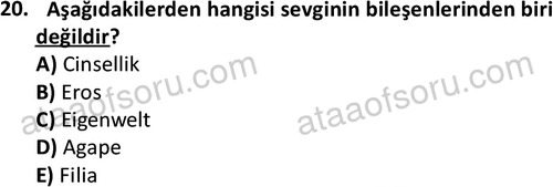 ata sosyalhizmlisans 2361 20