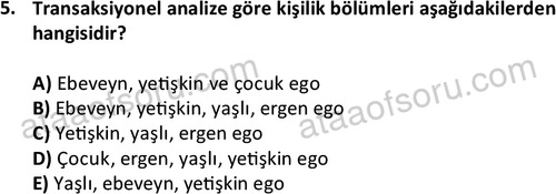 ata sosyalhizmlisans 2361 5