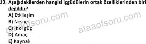 ata sosyalhizmlisans 2361 13