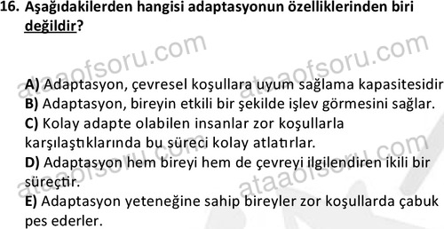 ata sosyalhizmlisans 2361 16
