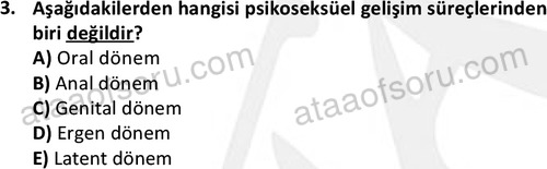 ata sosyalhizmlisans 2361 3