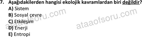 ata sosyalhizmlisans 2361 7