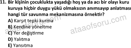 ata sosyalhizmlisans 2361 11