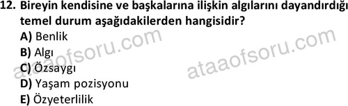 ata sosyalhizmlisans 2361 12