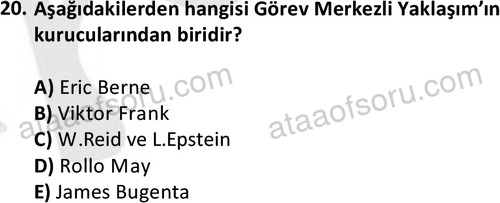 ata sosyalhizmlisans 2361 20