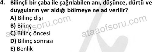 ata sosyalhizmlisans 2361 4