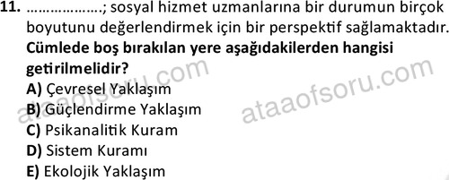 ata sosyalhizmlisans 2361 11