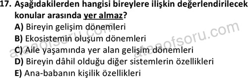 ata sosyalhizmlisans 2361 17