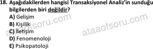 ata sosyalhizmlisans 2361 18