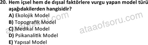 ata sosyalhizmlisans 2361 20