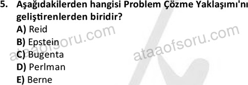ata sosyalhizmlisans 2361 5