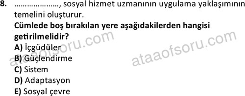 ata sosyalhizmlisans 2361 8