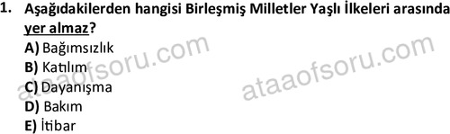 ata sosyalhizmlisans 2362 1