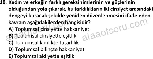 ata sosyalhizmlisans 2362 18