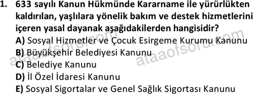 ata sosyalhizmlisans 2362 1