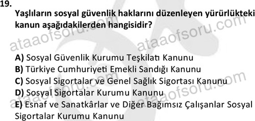 ata sosyalhizmlisans 2362 19
