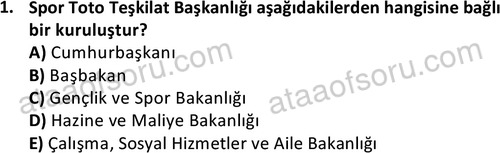 ata sosyalhizmlisans 2362 1
