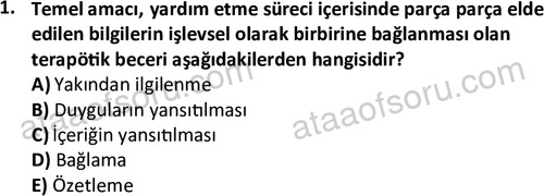 ata sosyalhizmlisans 2363 1