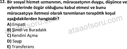 ata sosyalhizmlisans 2363 12