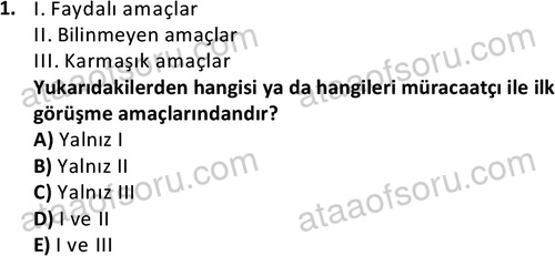 ata sosyalhizmlisans 2363 1