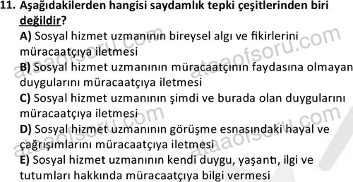 ata sosyalhizmlisans 2363 11