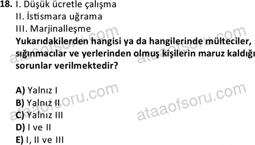 ata sosyalhizmlisans 2364 18