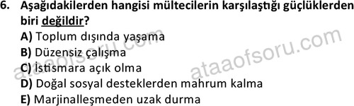 ata sosyalhizmlisans 2364 6