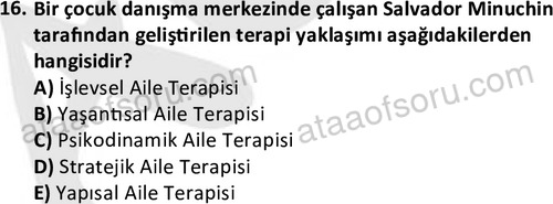 ata sosyalhizmlisans 2372 16