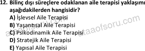 ata sosyalhizmlisans 2372 12