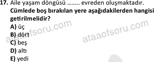 ata sosyalhizmlisans 2372 17