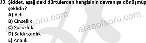 ata sosyalhizmlisans 2372 13