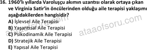 ata sosyalhizmlisans 2372 16