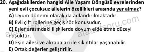 ata sosyalhizmlisans 2372 20