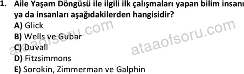 ata sosyalhizmlisans 2372 1