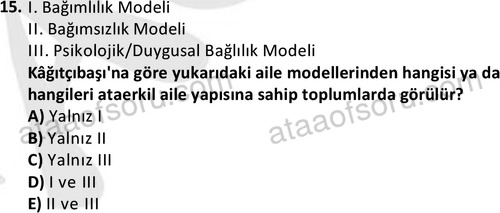 ata sosyalhizmlisans 2372 15