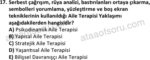ata sosyalhizmlisans 2372 17