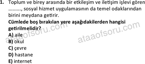 ata sosyalhizmlisans 2372 1
