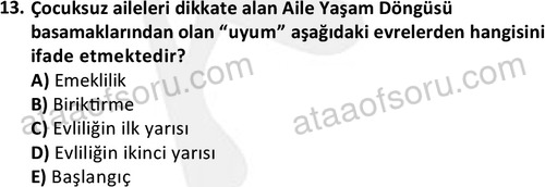 ata sosyalhizmlisans 2372 13